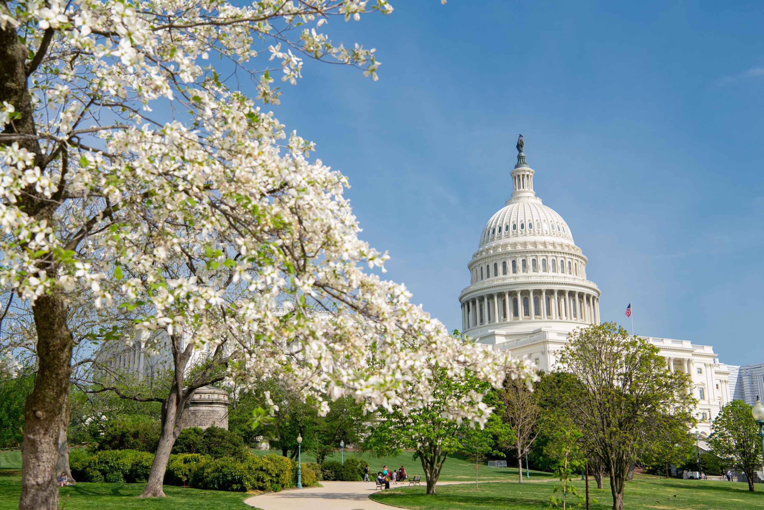 Tour Requests - Jacky Rosen